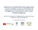 Détection et identification - SCBD