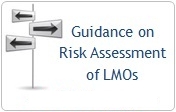 Guidance on RA of LMOs