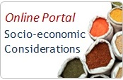 Socio-Economics Portal