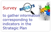 Survey to gather information corresponding to indicators in the Strategic Plan