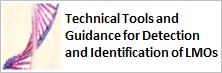 Technical Tools and Guidance for the Detection and Identification of LMOs